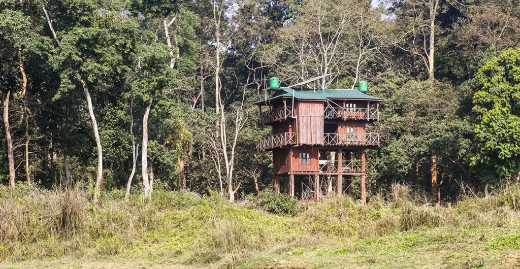 2 Nights with Tower Night Stay in Chitwan: An Unforgettable Adventure